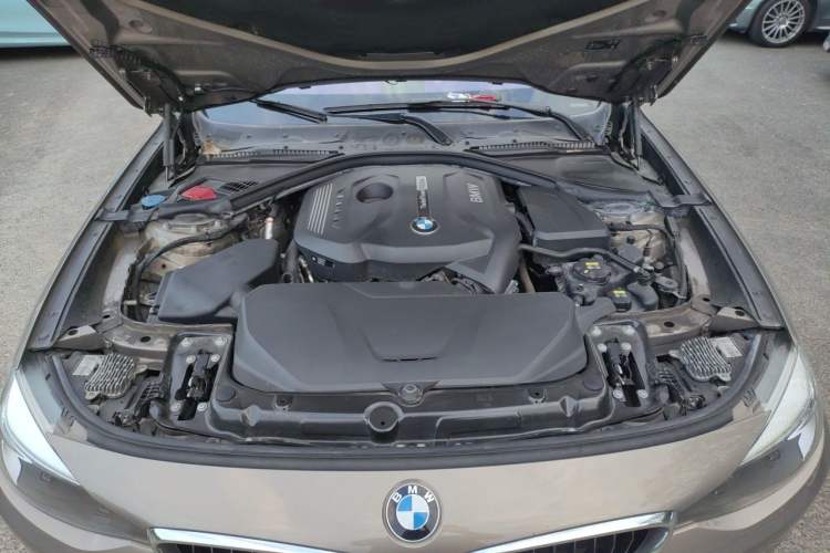Used BMW 3 Series GT 2019 320i Sport Edition Engine Bay