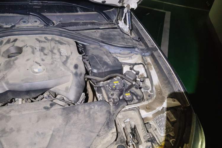 Used BMW 3 Series GT 2019 320i M Sport Package Engine Bay Left