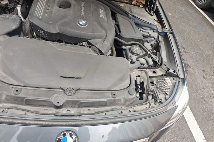 Used BMW 3 Series GT 2019 320i M Sport Package Engine Bay Left