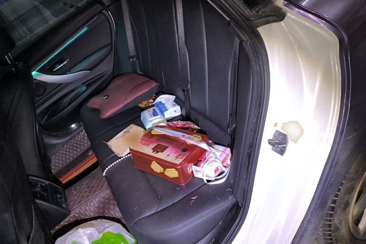 Used BMW 3 Series GT 2019 320i Sport Edition Left Rear Seat