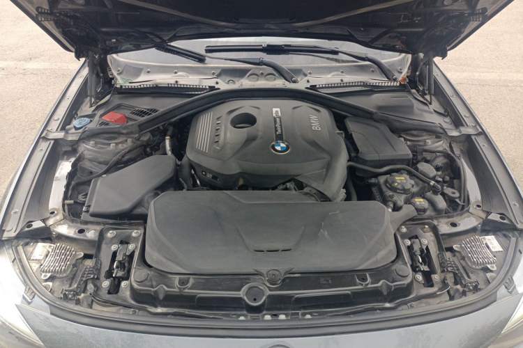 Used BMW 3 Series GT 2019 320i M Sport Package Engine Bay