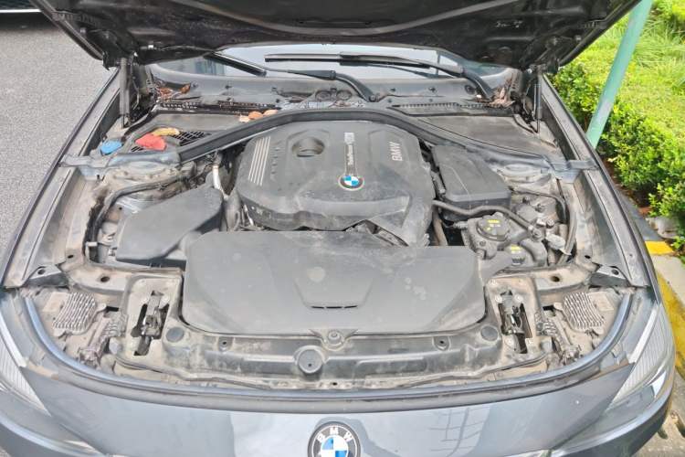 Used BMW 3 Series GT 2019 320i M Sport Package Engine Bay