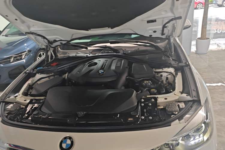 Used BMW 3 Series GT 2019 320i M Sport Engine Bay