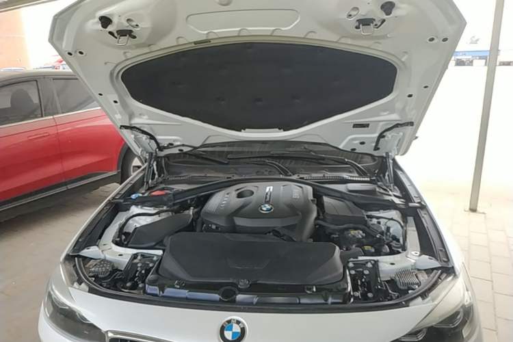 Used BMW 3 Series GT 2019 320i M Sport Package Engine Bay