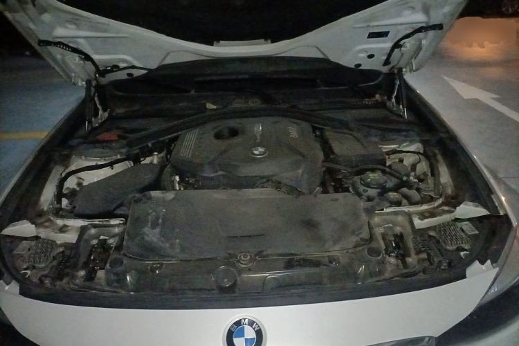 Used BMW 3 Series GT 2019 320i M Sport Package Engine Bay