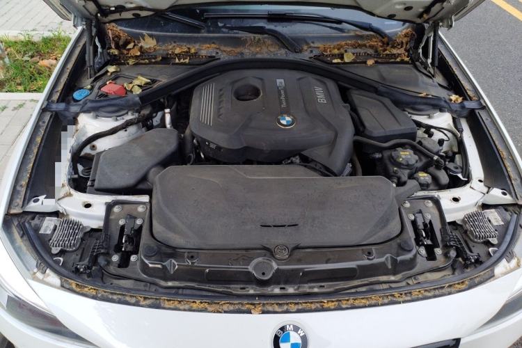 Used BMW 3 Series GT 2019 320i M Sport Night Edition Engine Bay