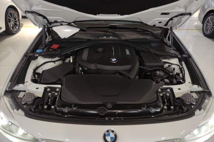 Used BMW 3 Series GT 2019 320i Sport Edition Engine Bay