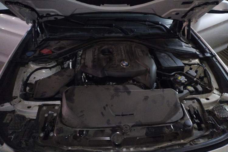 Used BMW 3 Series GT 2019 320i M Sport Package Engine Bay