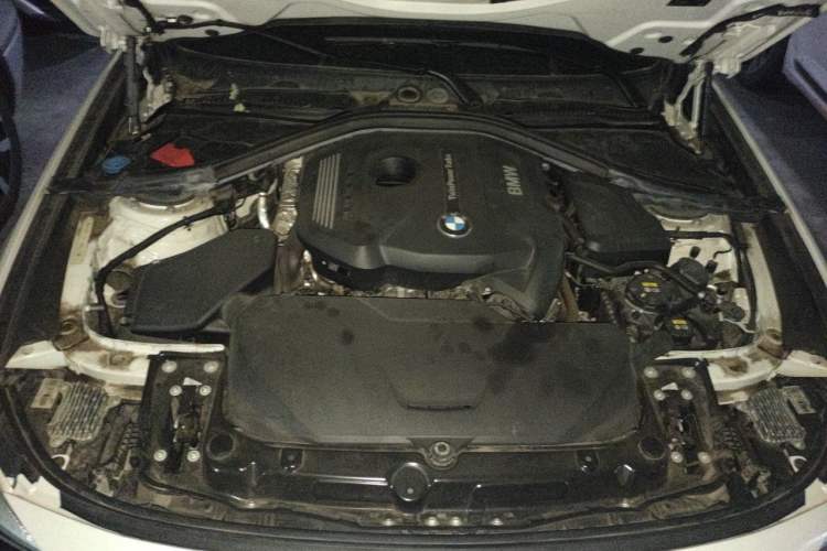 Used BMW 3 Series GT 2019 320i M Sport Package Engine Bay