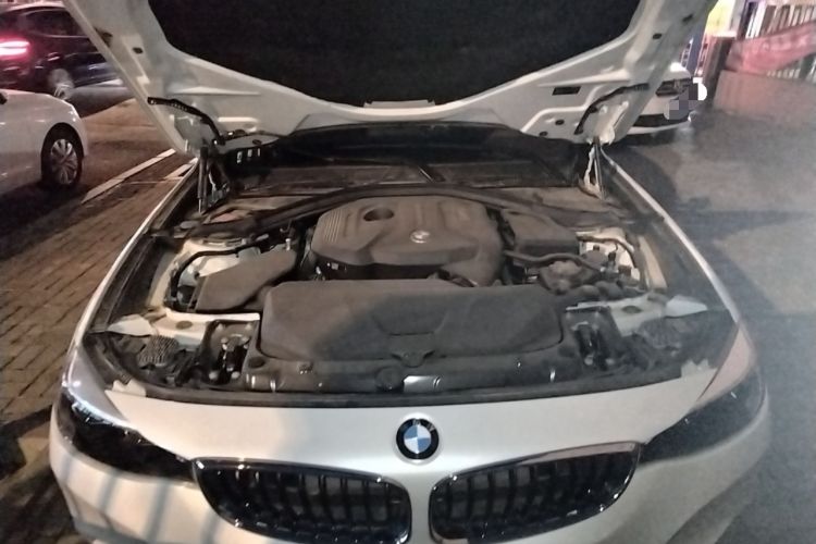 Used BMW 3 Series GT 2019 320i M Sport Package Engine Bay