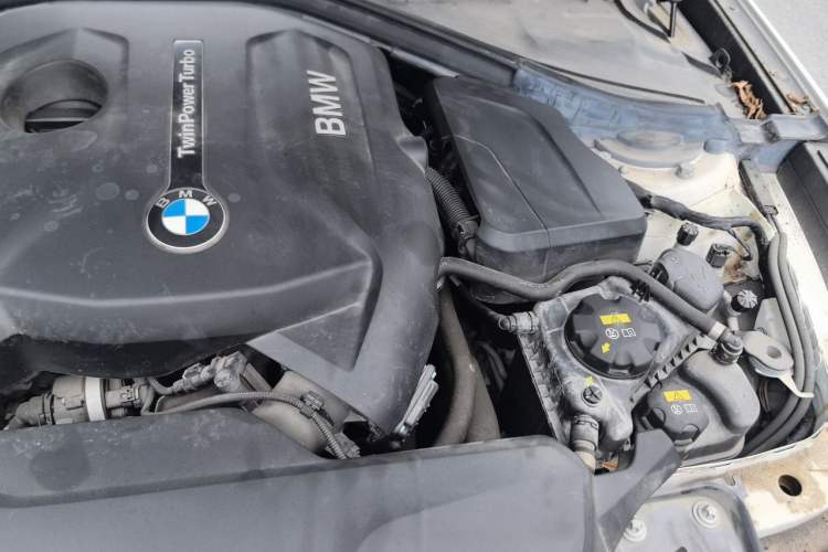 Used BMW 3 Series GT 2019 320i M Sport Package Engine Bay Left