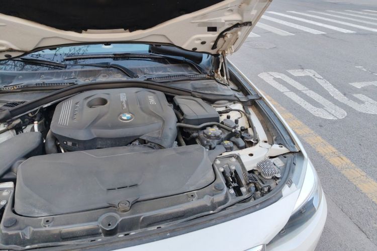 Used BMW 3 Series GT 2019 320i Sport Edition Engine Bay Left