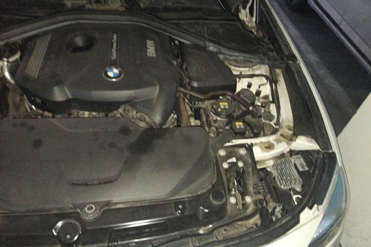Used BMW 3 Series GT 2019 320i M Sport Package Engine Bay Left