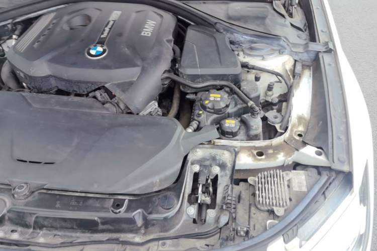 Used BMW 3 Series GT 2019 320i M Sport Package Engine Bay Left