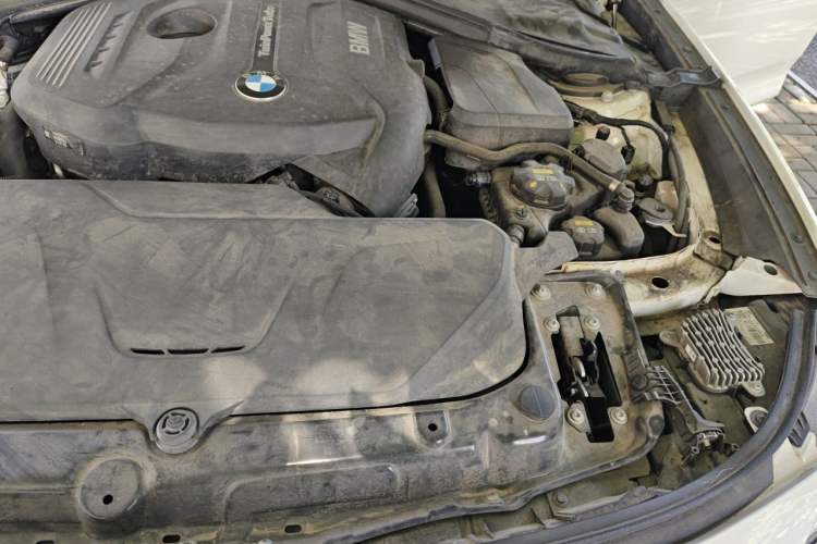 Used BMW 3 Series GT 2019 320i M Sport Engine Bay Left