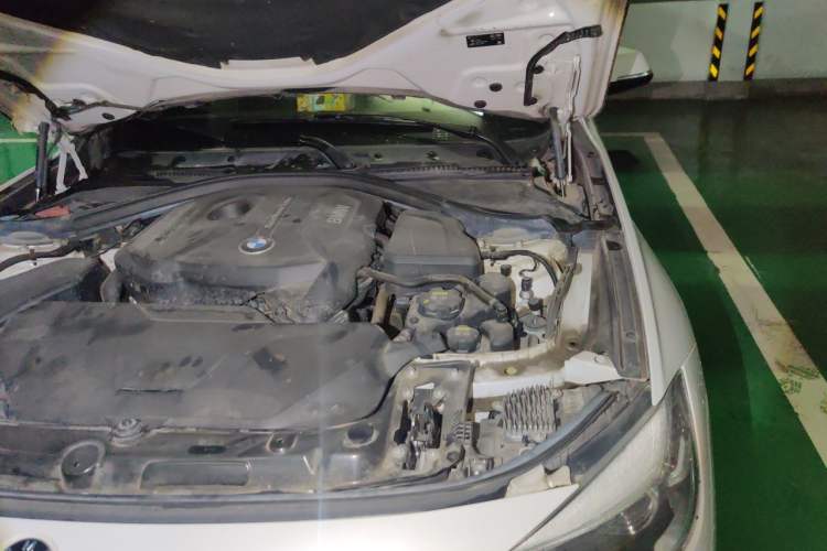 Used BMW 3 Series GT 2019 320i M Sport Package Engine Bay Left