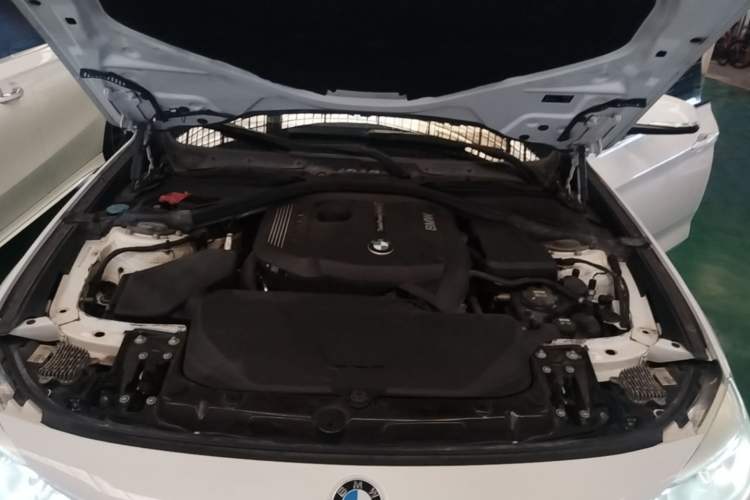 Used BMW 3 Series GT 2019 320i Sport Edition Engine Bay