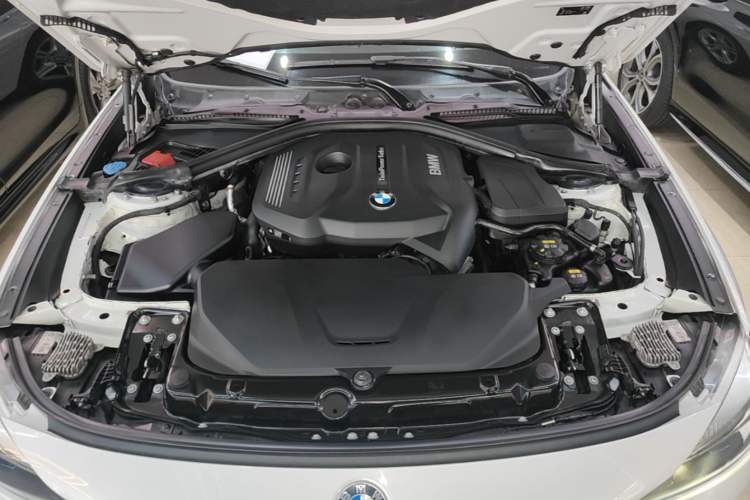 Used BMW 3 Series GT 2019 320i M Sport Package Engine Bay