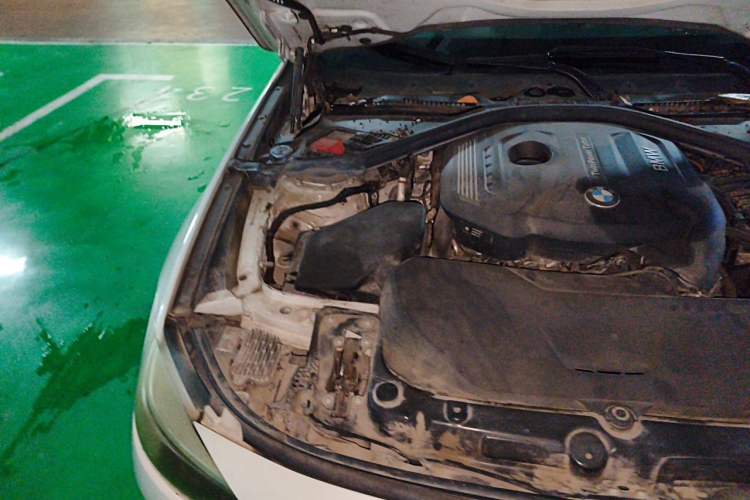 Used BMW 3 Series GT 2019 320i Sport Edition Engine Bay Right