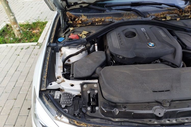 Used BMW 3 Series GT 2019 320i M Sport Night Edition Engine Bay Right