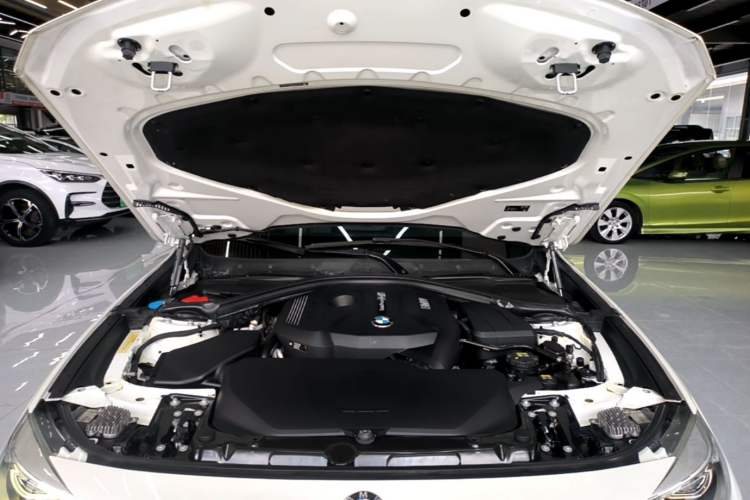 Used BMW 3 Series GT 2019 320i Sport Edition Engine Bay