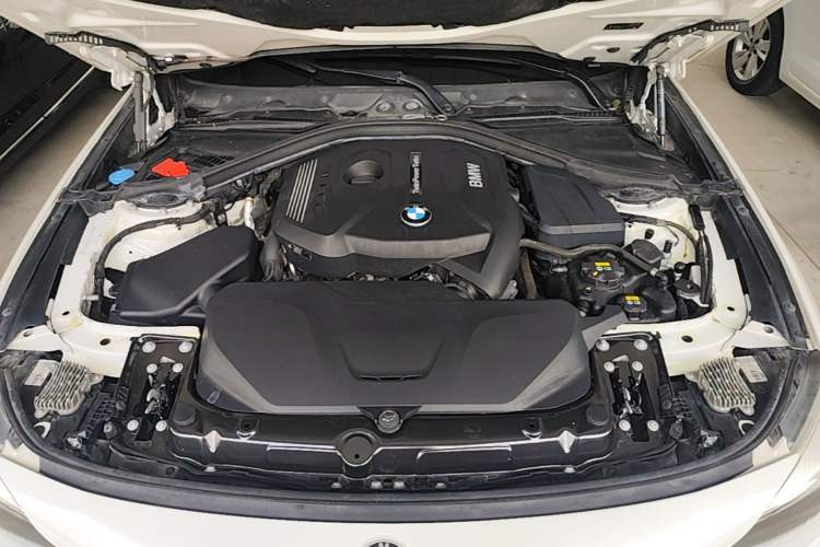 Used BMW 3 Series GT 2019 320i Sport Edition Engine Bay