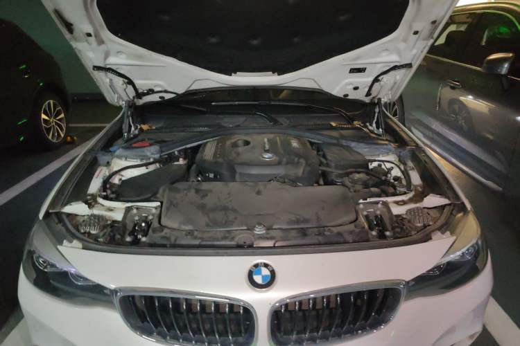 Used BMW 3 Series GT 2019 320i M Sport Package Engine Bay