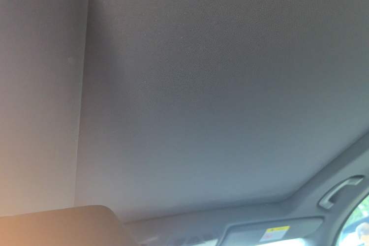 Used BMW 3 Series GT 2019 320i M Sport Package Headliner