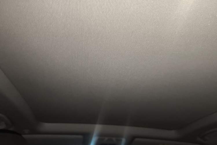 Used BMW 3 Series GT 2019 320i Sport Edition Headliner