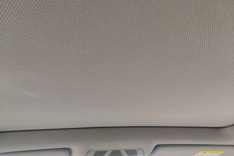 Used BMW 3 Series GT 2019 320i Sport Edition Headliner