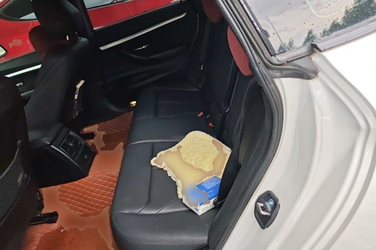 Used BMW 3 Series GT 2019 320i M Sport Package Left Rear Seat