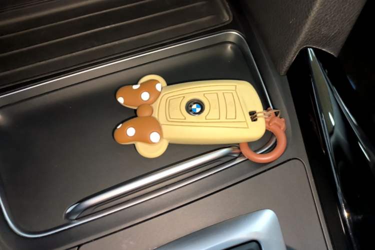 Used BMW 3 Series GT 2019 320i Sport Edition Vehicle Key