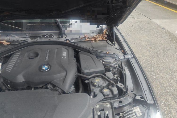 Used BMW 3 Series GT 2020 330i M Sport Night Edition Engine Bay Left