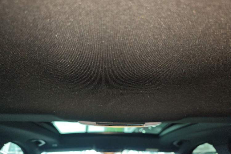 Used BMW 3 Series GT 2020 320i M Sport Package Headliner