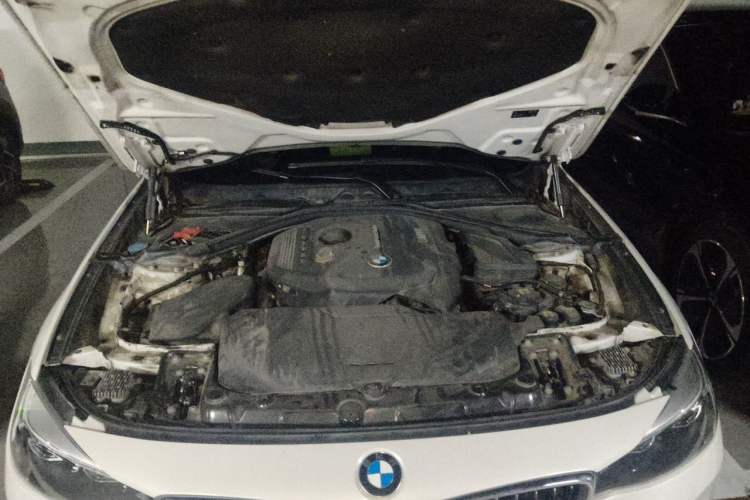 Used BMW 3 Series GT 2020 320i M Sport Package Engine Bay