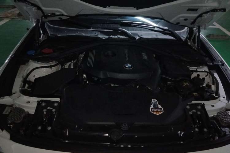 Used BMW 3 Series GT 2020 320i M Sport Package Engine Bay