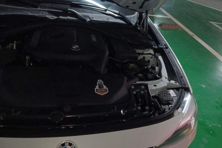 Used BMW 3 Series GT 2020 320i M Sport Package Engine Bay Left