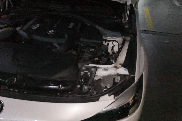 Used BMW 3 Series GT 2020 320i M Sport Package Engine Bay Left