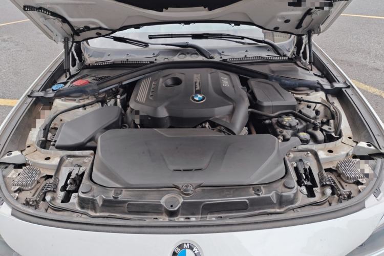 Used BMW 3 Series GT 2020 320i M Sport Package Engine Bay
