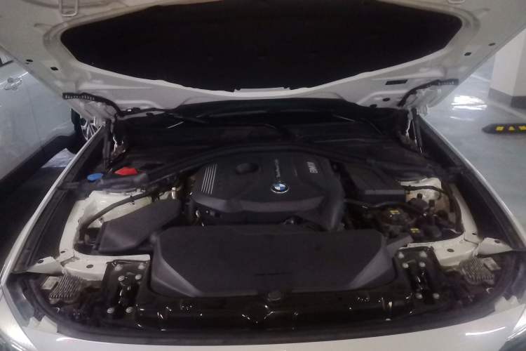 Used BMW 3 Series GT 2020 320i M Sport Package Engine Bay