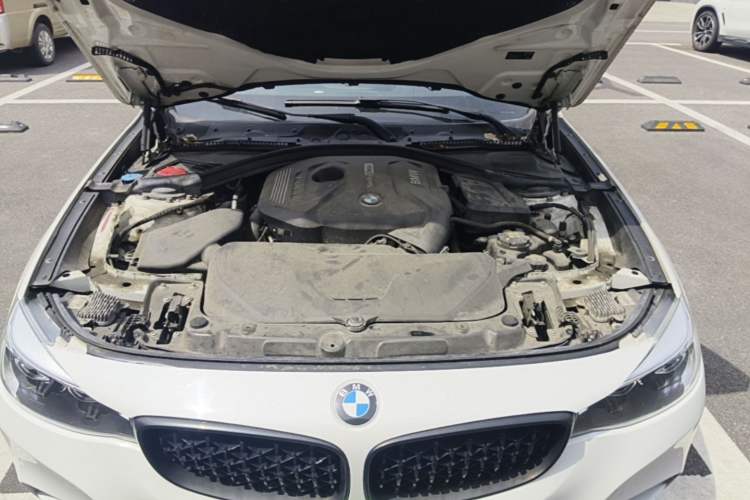 Used BMW 3 Series GT 2020 320i M Sport Package Engine Bay