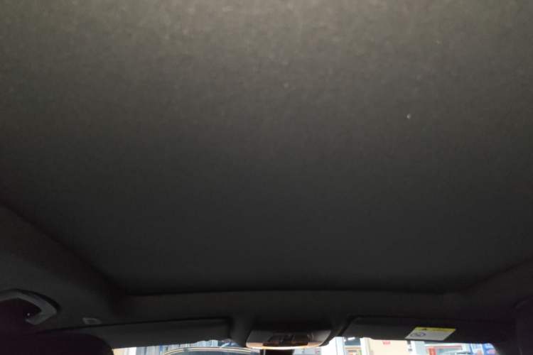 Used BMW 3 Series GT 2020 320i M Sport Package Headliner