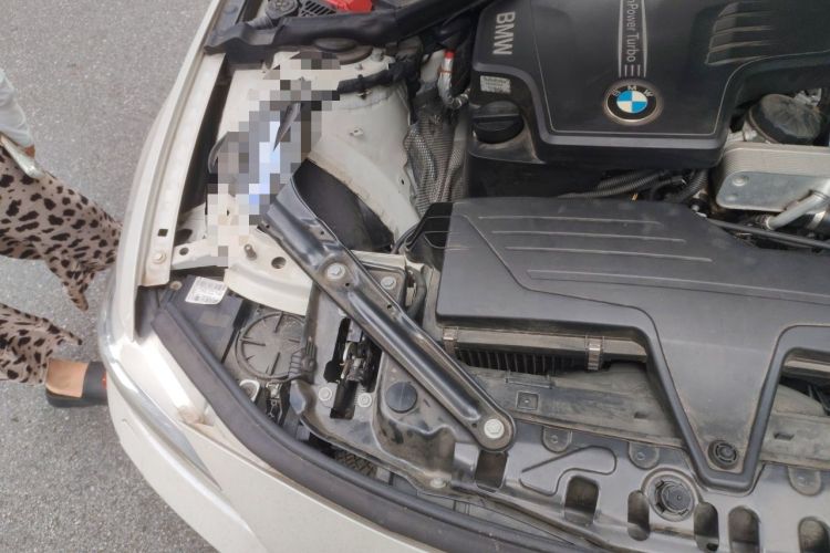 Used BMW 4 Series 2014 428i Convertible Design Package Engine Bay Right