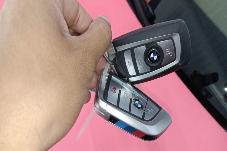 Used BMW 4 Series 2016 420i Convertible Fashion Model Interior 1