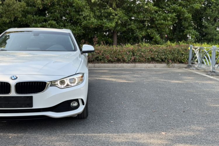 Used BMW 4 Series 2016 420i Fashion Model Exterior 1