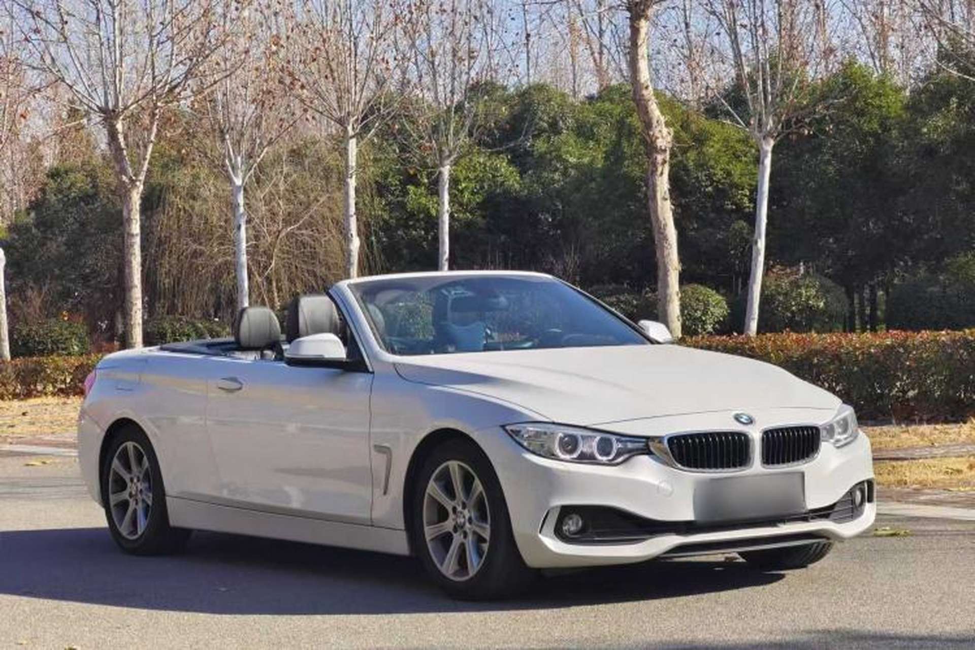 Used BMW 4 Series 2016 420i Convertible Fashion Model Exterior 5