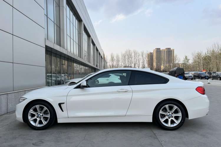 Used BMW 4 Series 2016 420i Fashion Model Left Side