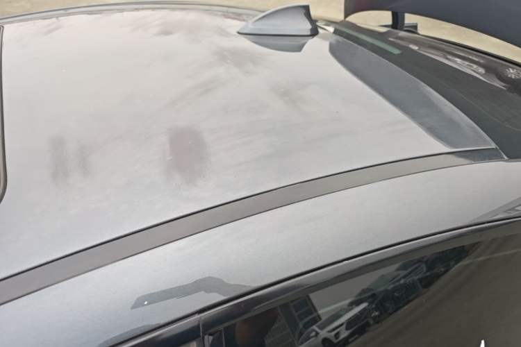 Used BMW 4 Series 2019 425i M Sport Package Roof