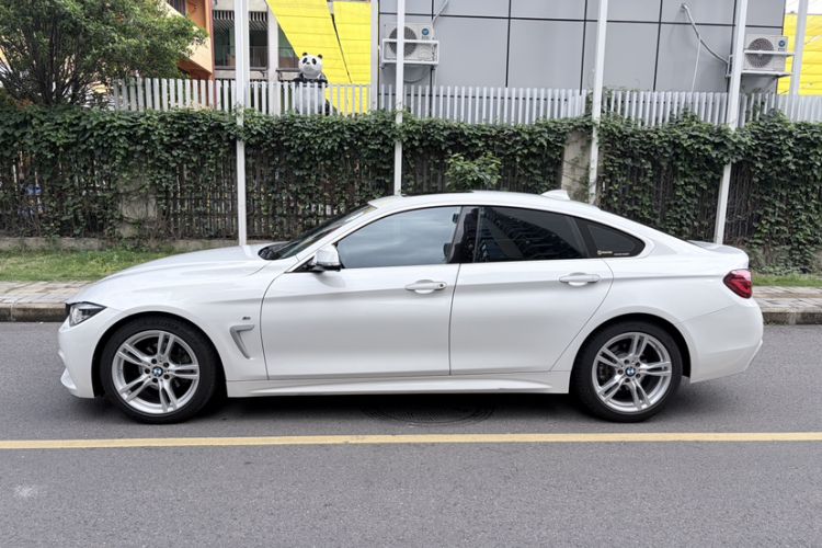Used BMW 4 Series 2019 425i Gran Coupe M Sport Package Exterior 7
