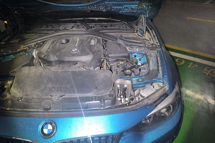 Used BMW 4 Series 2020 425i Gran Coupe M Sport Package Engine Bay Left